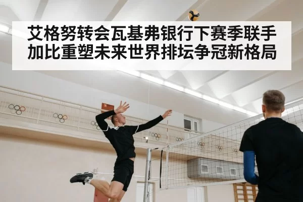 艾格努转会瓦基弗银行下赛季联手加比重塑未来世界排坛争冠新格局