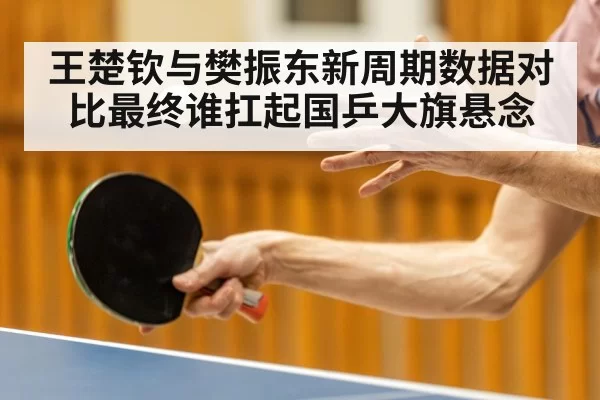 王楚钦与樊振东新周期数据对比最终谁扛起国乒大旗悬念